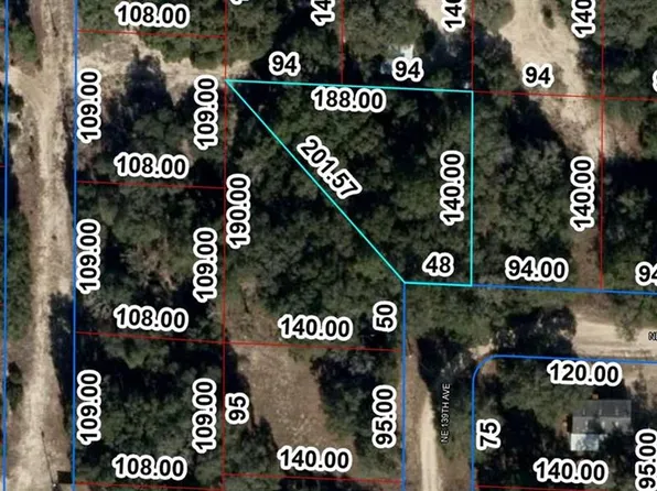 LOT 10 NE 58th Ln Lot 10, Williston, FL 32696