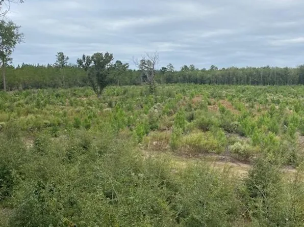  Harmon Ct., Marion, SC 29571