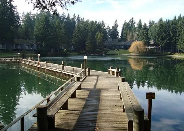 boardwalk near the swans