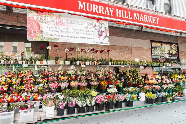 Rented by Modern Spaces | media 18