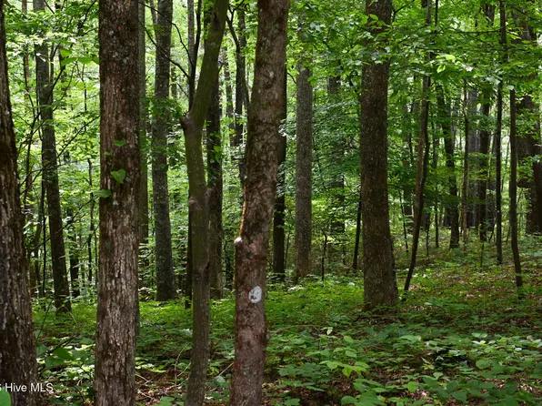0 Lories Mountain Drive Drive, Hayesville, NC 28904