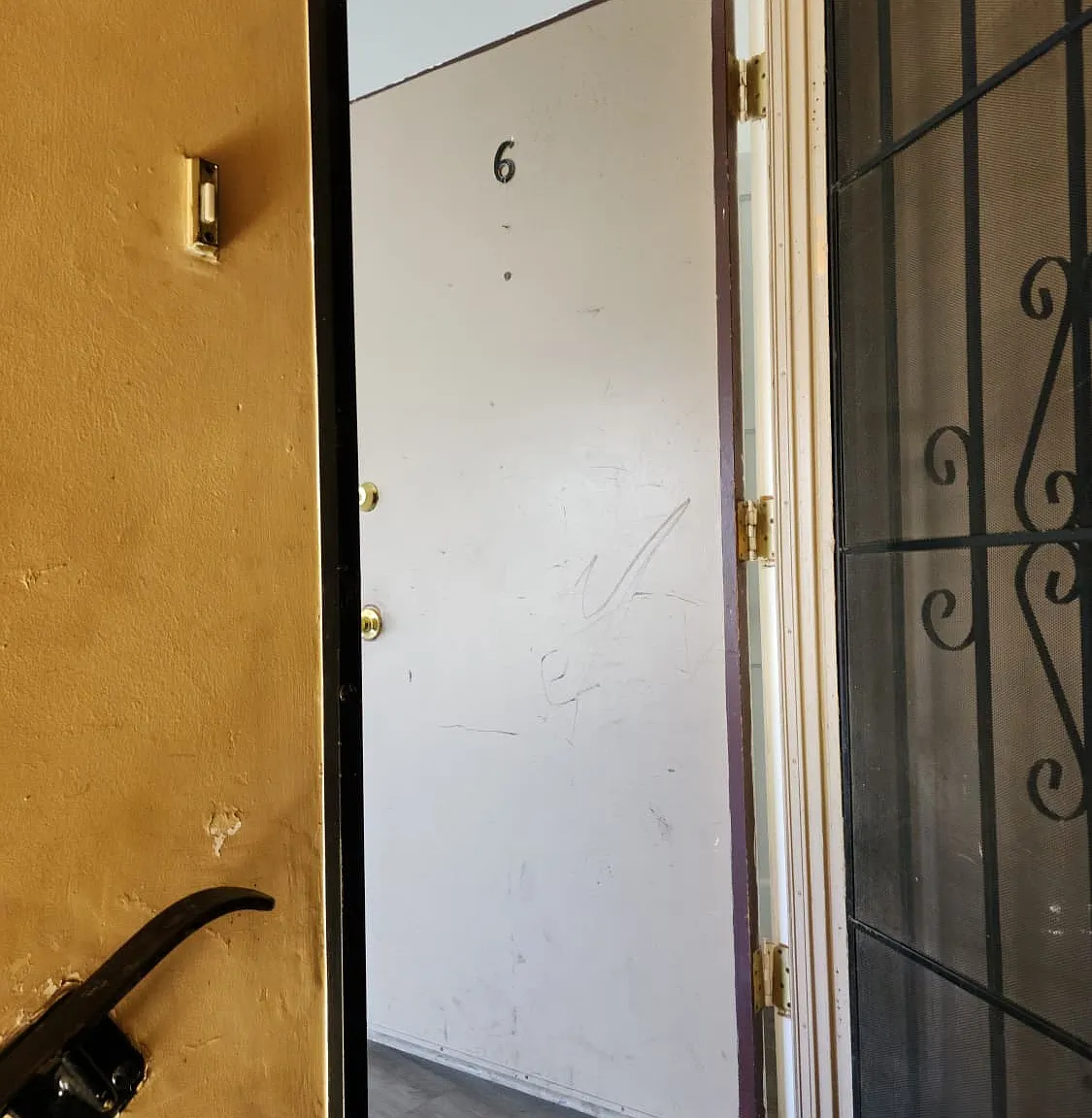 1 bed, 600 sqft, $1,700 — Photo 3