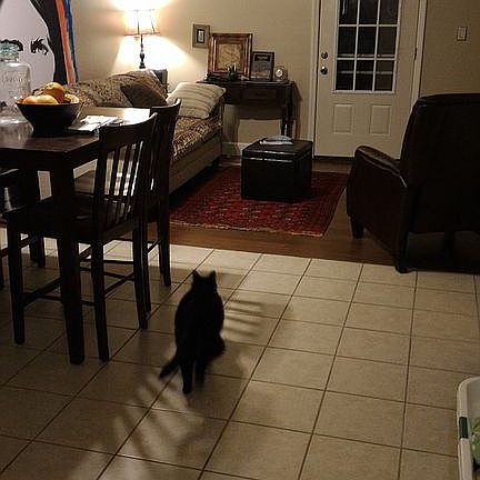 Downstairs, living room
