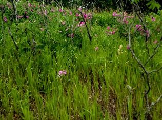 0 Maple St, Leroy, MI 49655