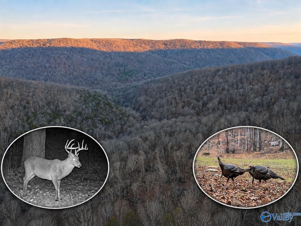 1st image of Dry Creek Rd