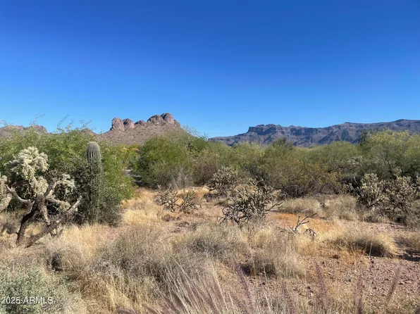 6083 S ALAMEDA Road #168, Gold Canyon, AZ 85118