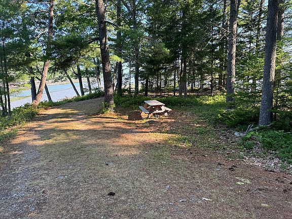 3rd image of 00 Pine Tree Lane