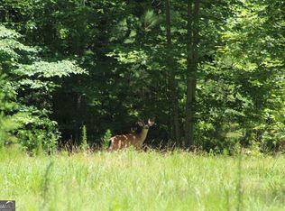 0 Jumper Dr, Ellijay, GA 30540