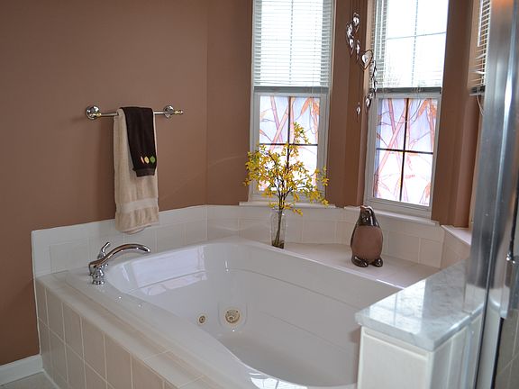 Master Bath - Jacuzzi Tub