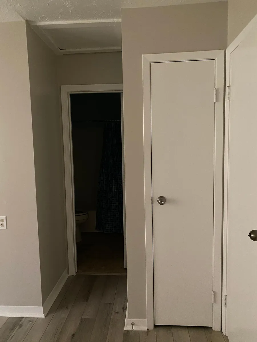 Bathroom closet for towels and linens. - 403 W Boone St