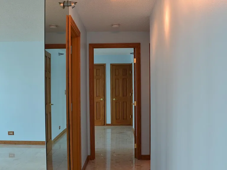 195 N Harbor Dr #4501 — Photo 8