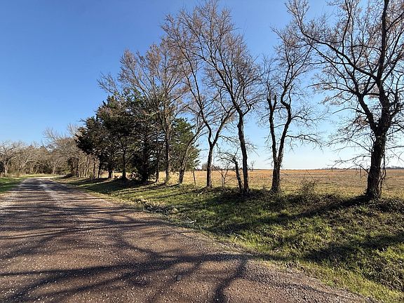 3rd image of TRACT 5 County Road 445 Lot 5