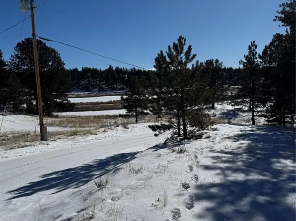 965 Midland Ct, Lake George, CO 80827