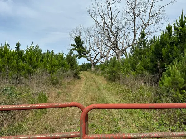 County Highway 7, Repton, AL 36475