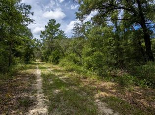 0 NE 81ST STREET, BRONSON, FL 32621