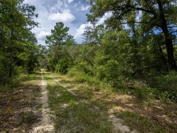 0 NE 81ST STREET, BRONSON, FL 32621