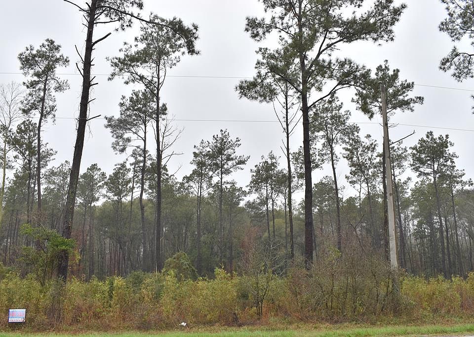 0 Fm 1669, Huntington, TX 75949 Zillow