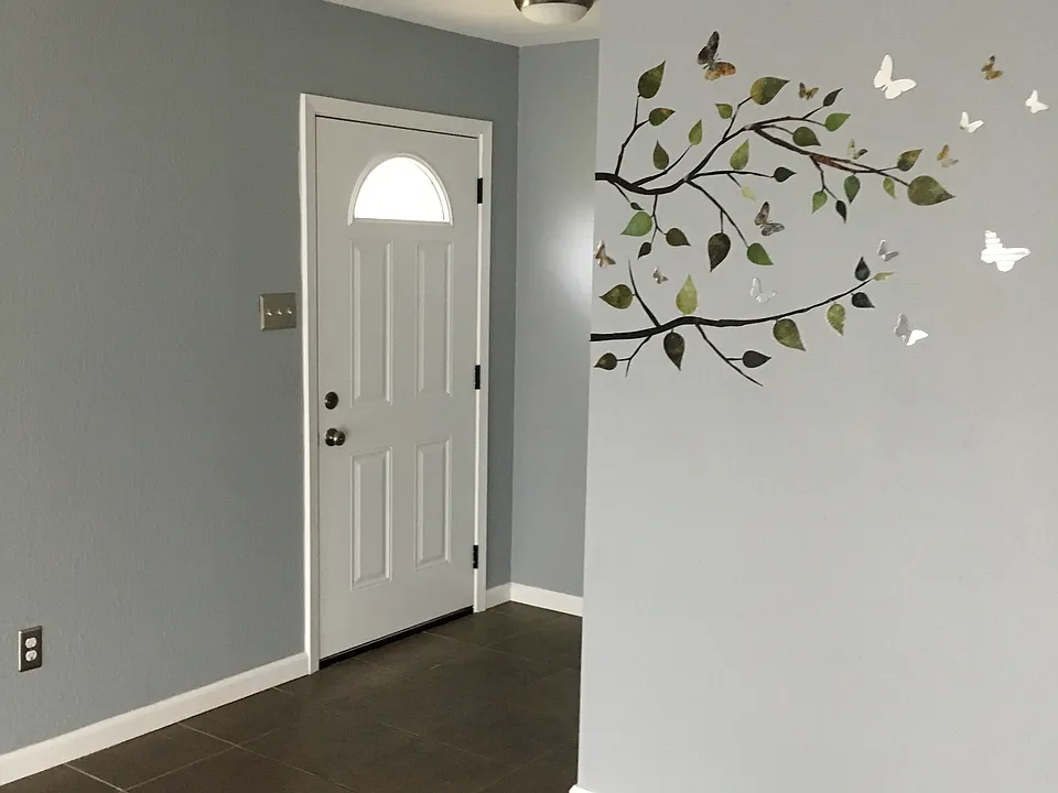 Main entrance and living room