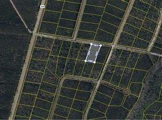 V/l 42 Fox Rdg, Waynesville, GA 31566