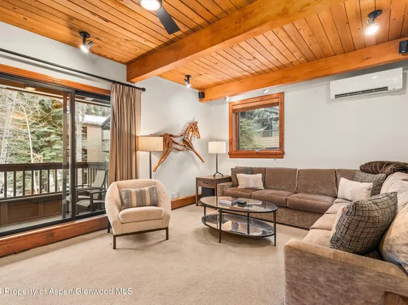 610 S West End St #D201, Aspen, CO 81611