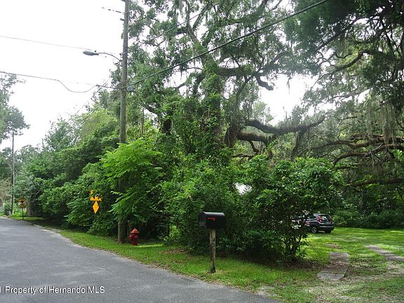 3rd image of 433 Stafford Ave