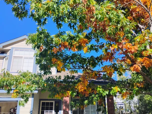 6431 Secrest Ct, Arvada, CO 80007