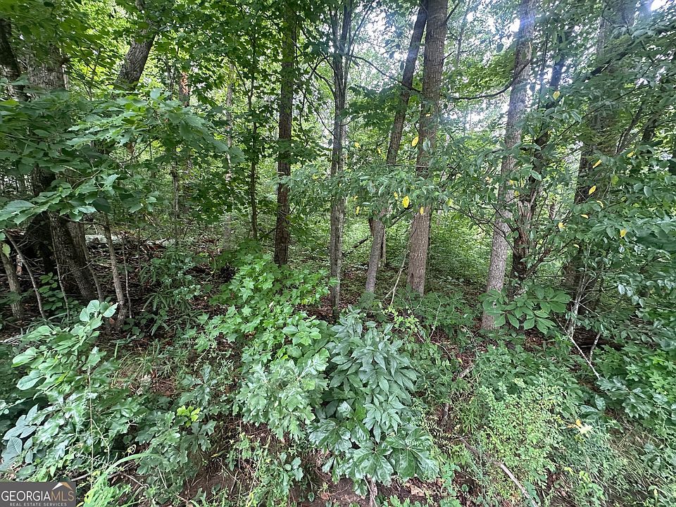 1st image of 5281 N Forest Blvd