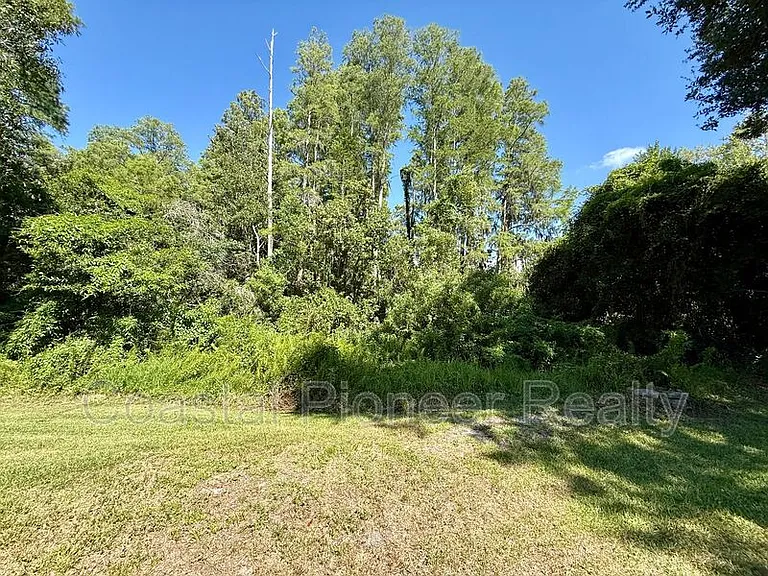 11113 Avery Oaks Dr — Photo 48