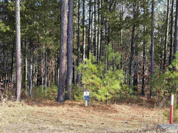 LOT 263 Red Fox Ln, Goreville, IL 62939