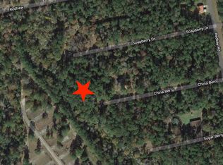 Chinaberry Dr, Villiage Mills, TX 77663
