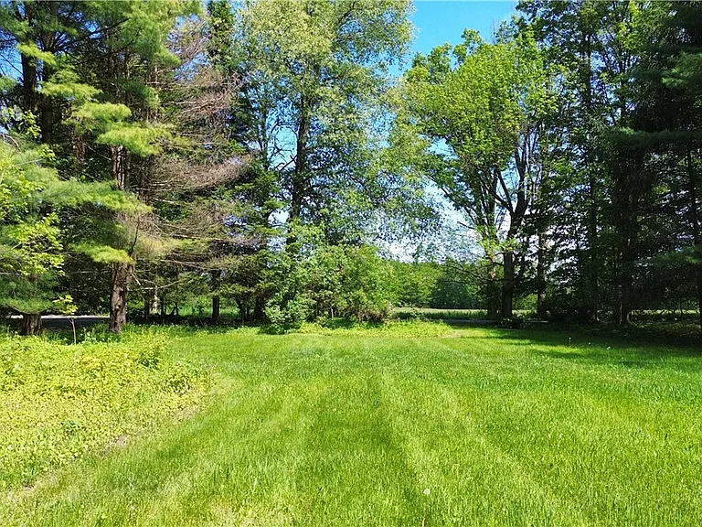7481 Hoffman Rd — Photo 35