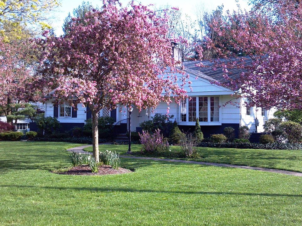 Bib lot near town center