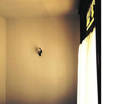 5th image of 215 Ashland Ave APT 2