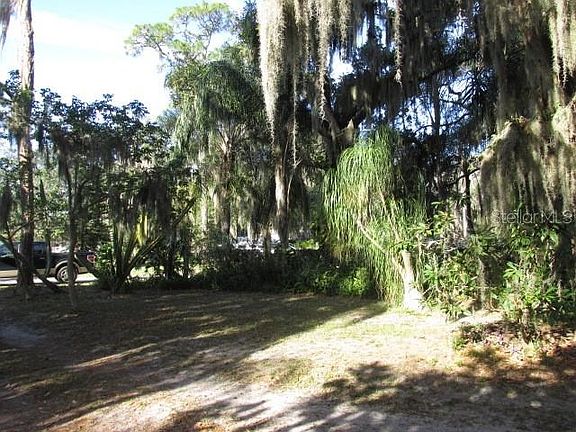 5th image of Lake Lizzie Dr