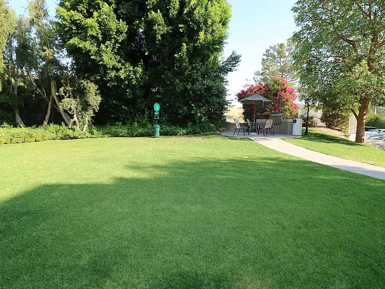 5210 Premiere Hills Cir #119 — Photo 17