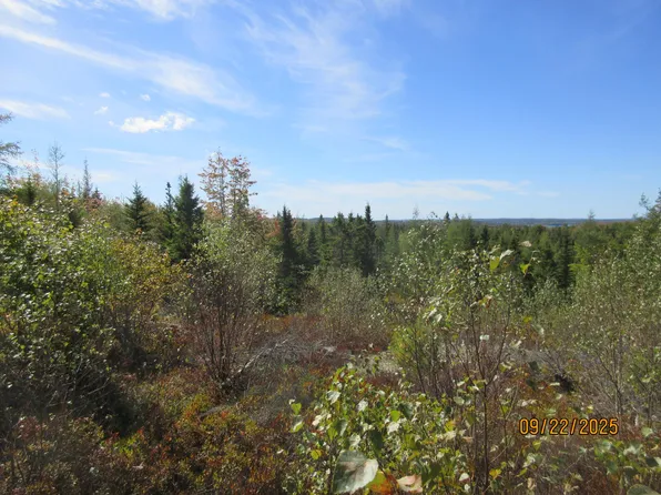 Lot #7 Highland Road, Addison, ME 04606