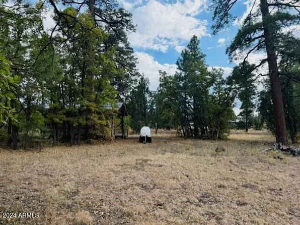 6931 BUCKHORN Road #17, Happy Jack, AZ 86024