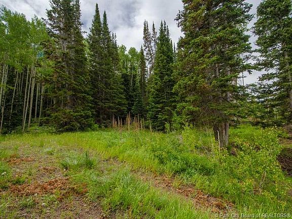 5th image of 234 White Pine Canyon Rd #234
