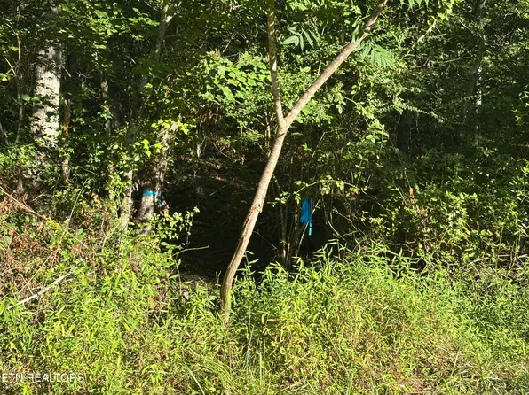 5054 Chinook Ln, Crossville, TN 38572