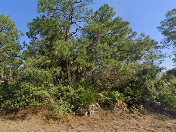 1002 Silverfish Dr Lot 2, Labelle, FL 33935