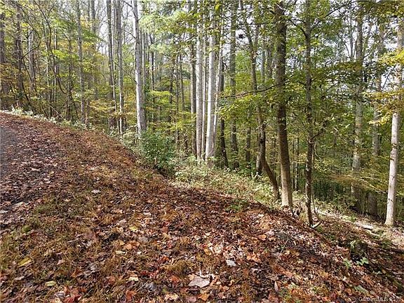 3rd image of Eliotts Loop