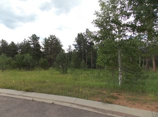 191 Eagle Pines Dr, Woodland Park, CO 80863