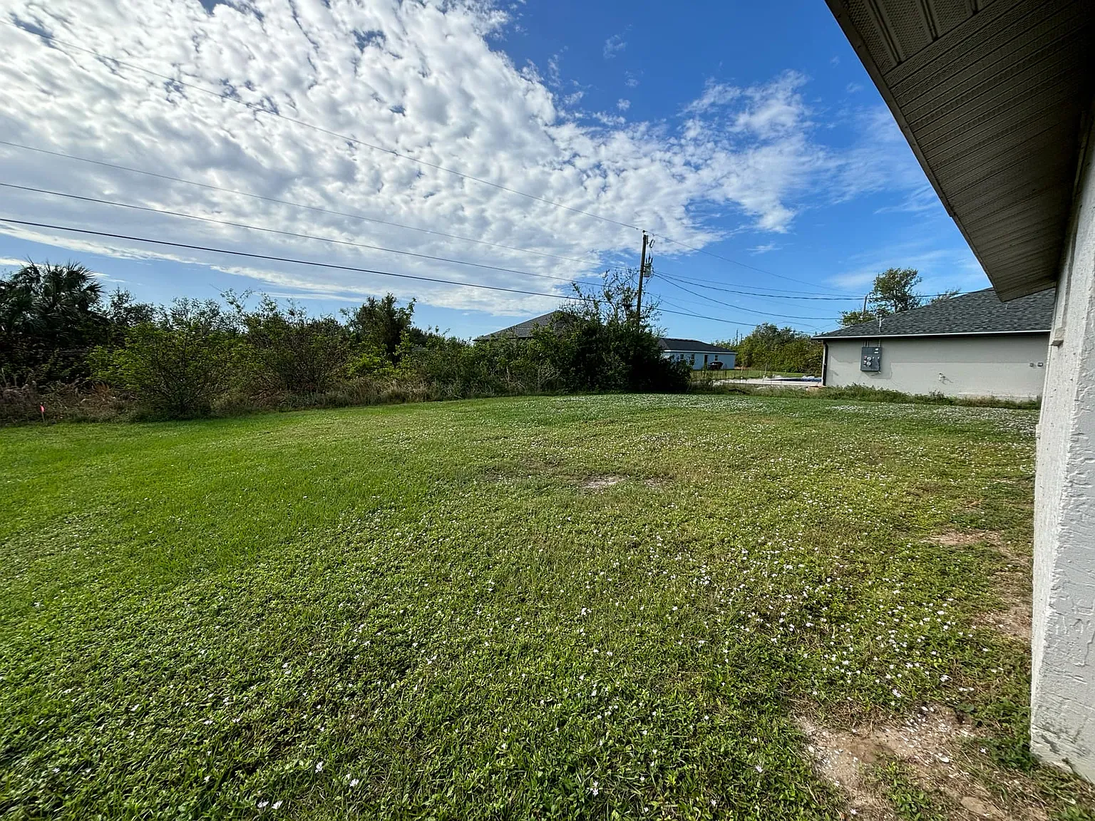 2 bed, 1000 sqft, $1,500 — Photo 3