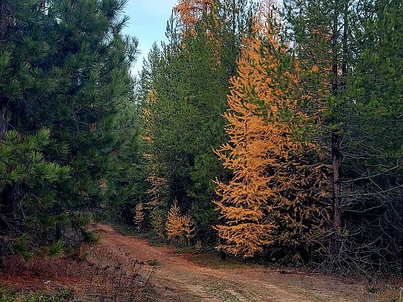 3rd image of Nkn Northshore Diamond Lake Rd