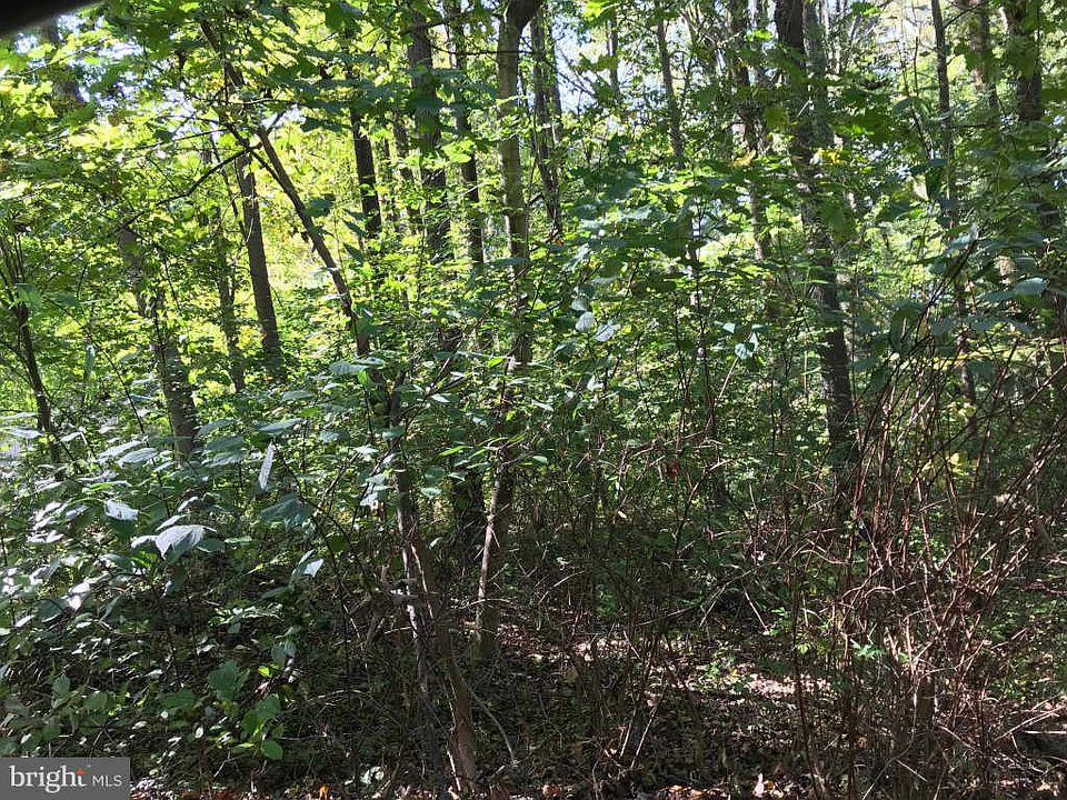 2nd image of 313 Riblett Ln