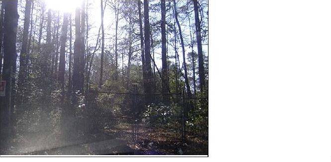 1st image of 3550 Lake Dr SE