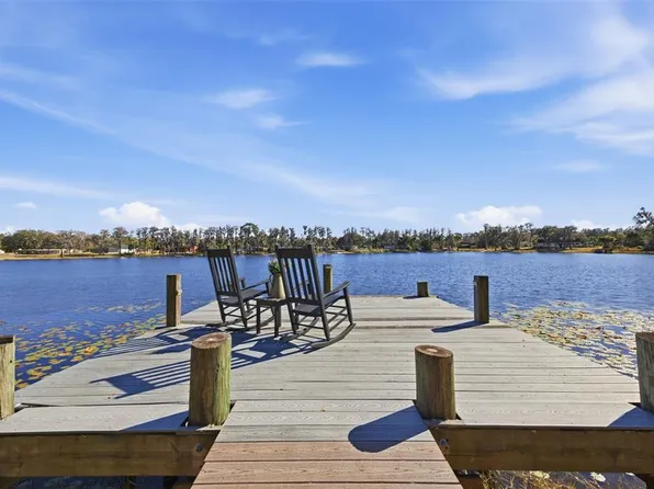 9214 Rhea Dr, Odessa, FL 33556