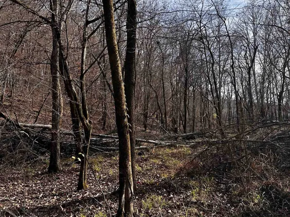 2985 Beechcreek Loop Cmn, Clifton, TN 38425