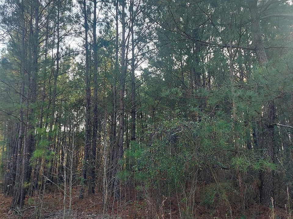 2nd image of Lot #4 Louisville Rd.