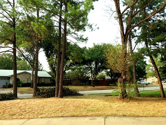 Front yard